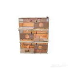 حاضنة طيور الكترونية