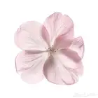 تصميم فيديو دعوة زفاف الكترونيه دعوات ثري دي