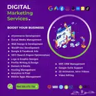 Website Design  Domain   Emails