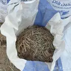 اعلاف من فرم مخلفات زراعية أكياس جاهزة ومعبأه