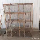 شبك للطيور أدوار