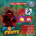 حساب بلوكس فروت ريس هيومن v4 فاكهة موتشي و البوذا سيف اودن