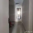 للايجار شقة عزاب حي القادسية بسعر (2500) شهريا-عرض رقم 1426H