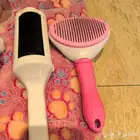 مستلزمات عناية للقطط
