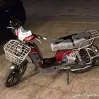 دباب