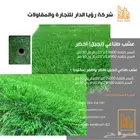 توريد النجيل الصناعي
