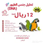 تحديد جنس الطيور بتحليل الحمض النوويDNA