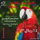 تحليل DNA لجميع انواع الطيور- النتايج خلال 10 ايام