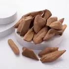 عود طبيعي عود محسن