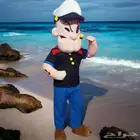 شخصيات كرتون زي باباي البحار زوجته زيتونه شرير بلوتو شطيره