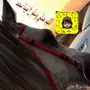 يسر مربط صهوة الصافنات فتح ايوى وتدريب