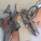 سيكل طويل و جنطبن و بدين رامبو