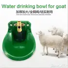 مشارب للغنم والماعز