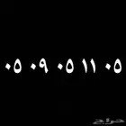 رقم مميز عشري