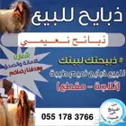 ذبايح للبيع