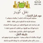 بيع كوينز لعبه هاي داي بارخص الاسعار