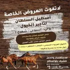 حنطور مع الحصان للإيجار 