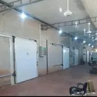 الرياض