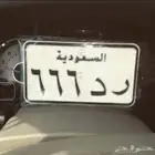 جازان   بيش