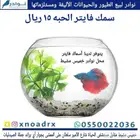 سمك 15 ريال محل نوادر خميس مشيط