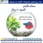 سمك 10 ريال نوادر خميس مشيط