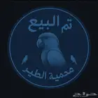 فروخ روز البينو