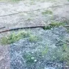 سباك زراعي ببها وخميس مشيط كذا المطار