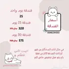 فندقة قطط