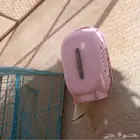 قفص كلاب كبير 105 126 95