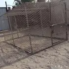 دجاج شبك دجاج للبيع