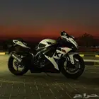 دباب ريس 2019 سوزوكي 600