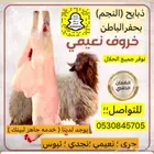 ذبايح النجم بحفر الباطن