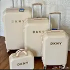 شنط دكني