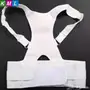 حزام الظهر kml 