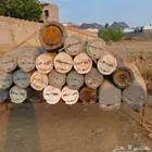 خلايا نحل بلدي وشمراني للبيع