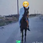 فرس شعبية