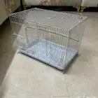 قفص طيور