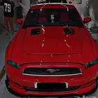 موستنج 2014 ممشى 150