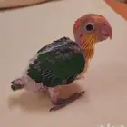 فرخ كايك وايت بيلي مستوى توب