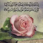سائق توصيل مشاوير بالمدينة المنورة