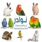 سمك 15 ريال نوادر خميس مشيط