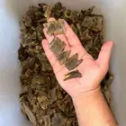 عود صيني كينام فاخر