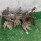 طبات رقاص هندي فاخره