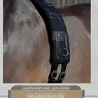 حزام عسف للخيل