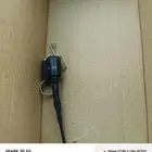 ريشة تتبع الصقور