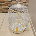 للبيع قفص دايري