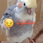 مفقود في حي القمرية خلف سوق الخليج و مزرعة الشريف