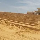 الرياض