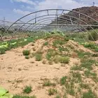 بيوت محميه
