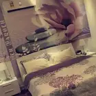 شقه مؤثثه حي الواحه